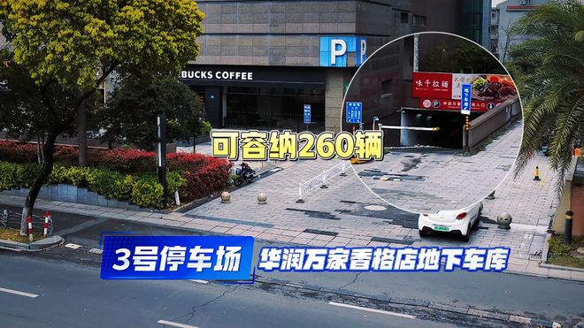 中国男篮击败荷兰,赛后球员评分,1人满分,2人优秀,其余不及格
