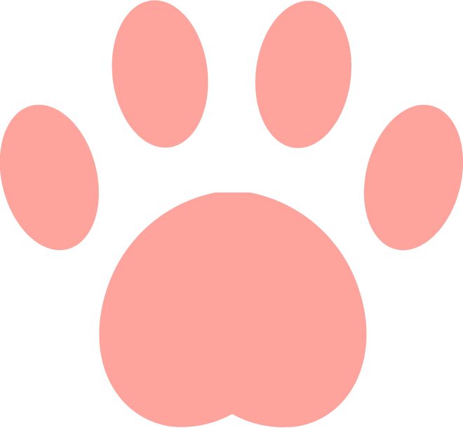 女排亚锦赛2‑3遭泰国绝杀！全网暴怒6问赵勇：为何弃用张籽萱？