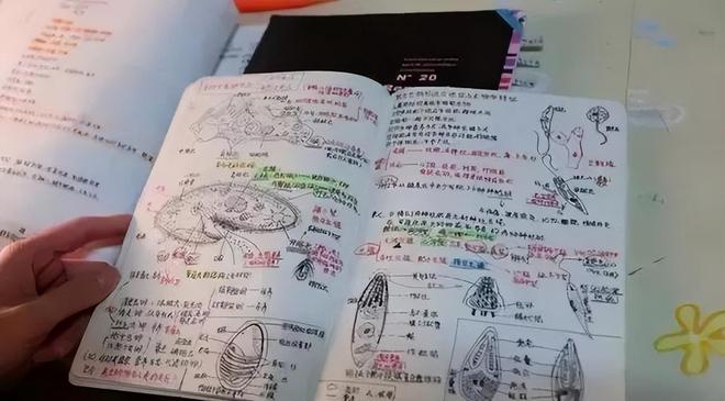 组队两周、合练五次 深圳这支临时组建的队伍破全国纪录