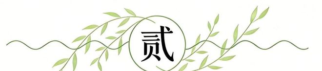 兹维列夫:如果我输掉了这场决赛,我可能永远赢不了大满贯